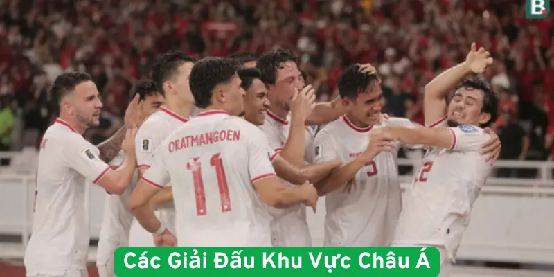 Các giải đấu khu vực châu á