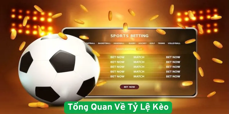 Tổng Quan Về Tỷ Lệ Kèo